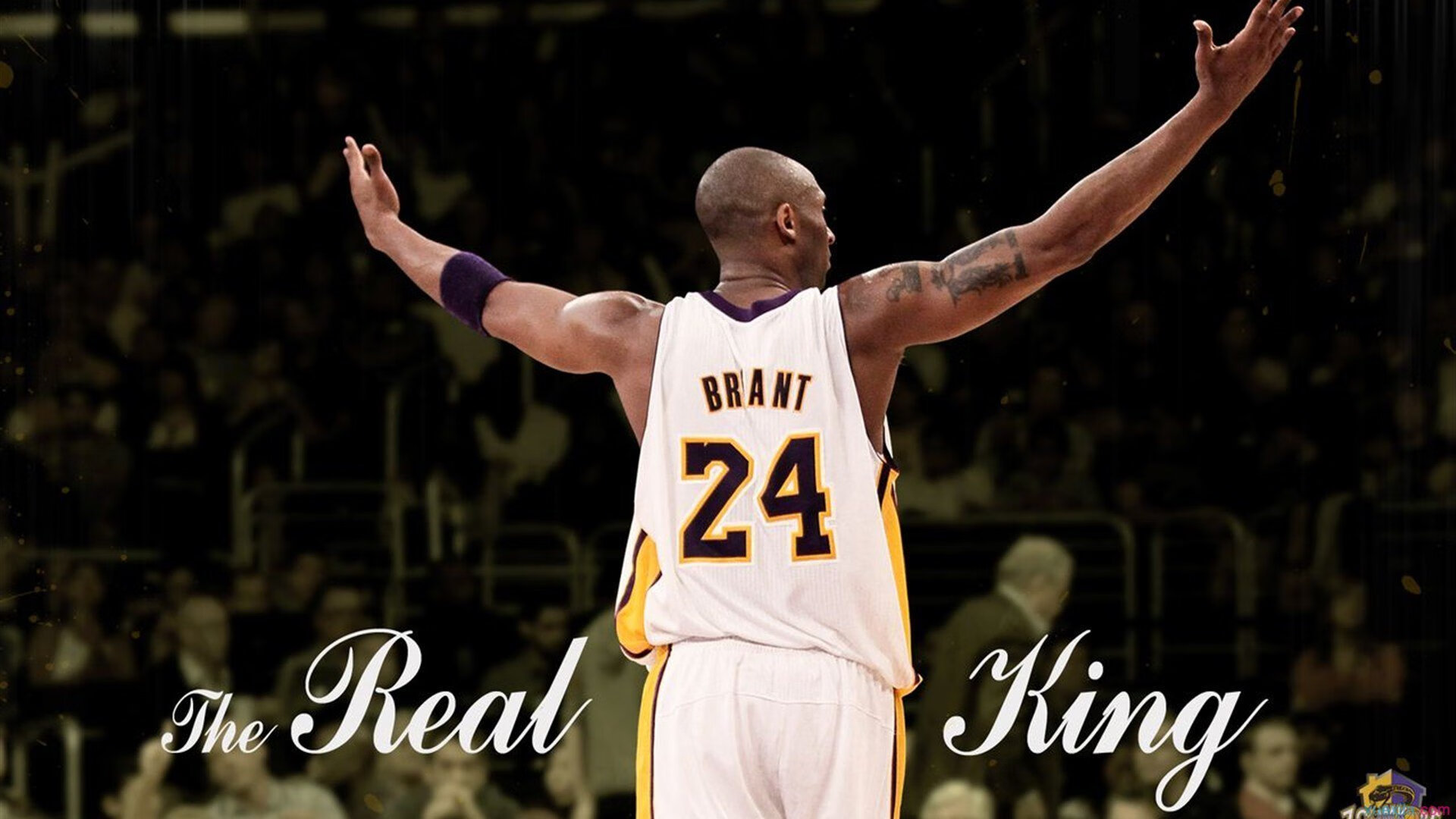 明尼苏达森林狼四强战惊险罗马，郑钦文砍下6记关键球，全场沸腾